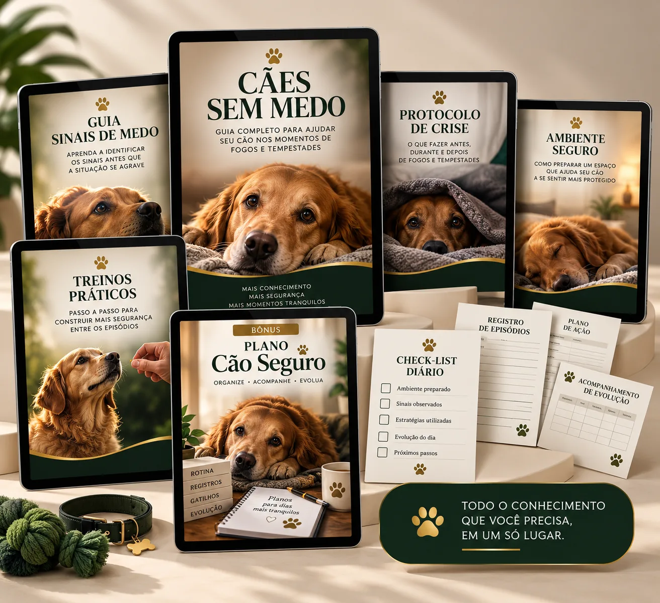 caes-sem-medo-tudao-otimizado.webp
