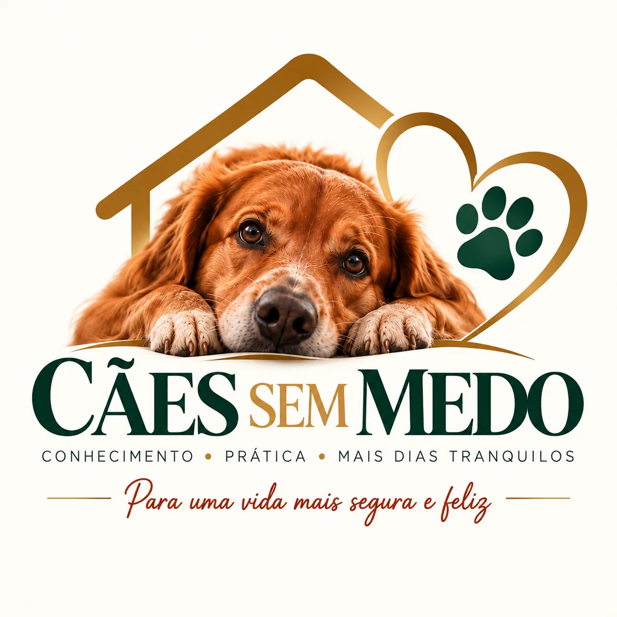 caes-sem-medo-logo-otimizada.webp